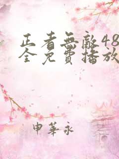 正者无敌48集全免费播放