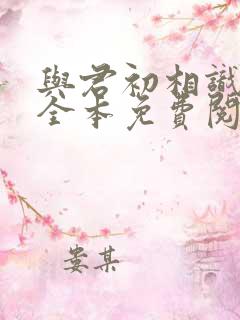 与君初相识小说全本免费阅读