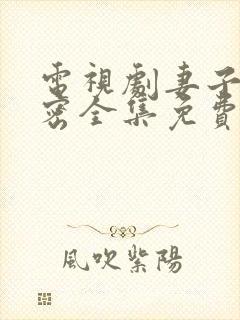 电视剧妻子的秘密全集免费观看