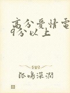 高分爱情电影榜9分以上