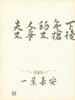 夫人的年下保镖又争又抢后续