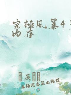 究极风暴4多少内存