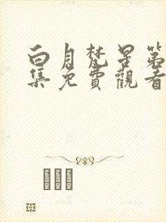 白月梵星第十七集免费观看