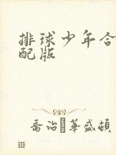 排球少年合集中配版