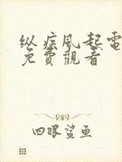 纵疾风起电视剧免费观看