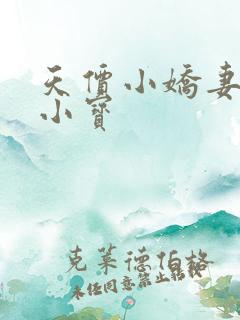 天价小娇妻 银小宝