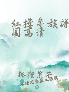 红楼梦族谱关系图高清