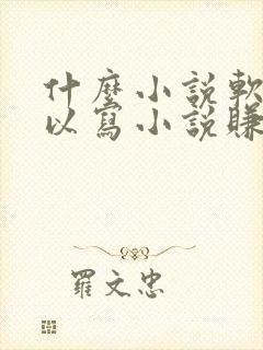 什么小说软件可以写小说赚钱