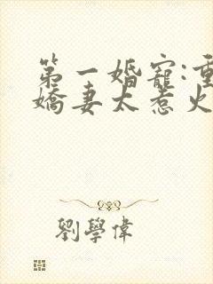 第一婚宠:重生娇妻太惹火'