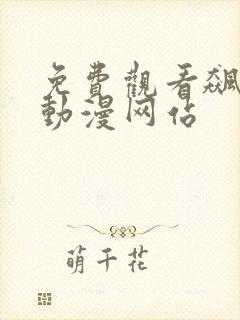 免费观看飙车的动漫网站