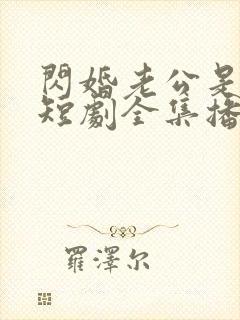 闪婚老公是豪门短剧全集播放