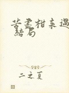 苦尽柑来遇见你 结局