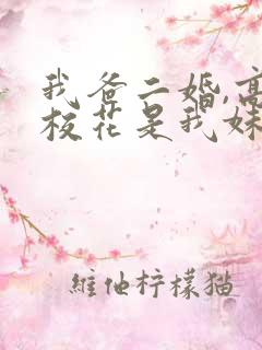 我爸二婚,高冷校花是我妹免