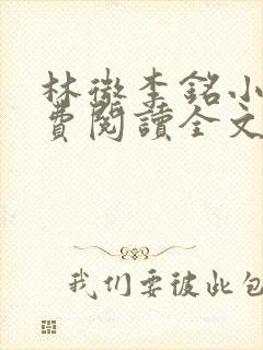 林微李铭小说免费阅读全文最新章节