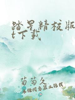 踏星精校版txt下载