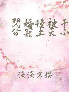 闪婚后被千亿老公宠上天小说