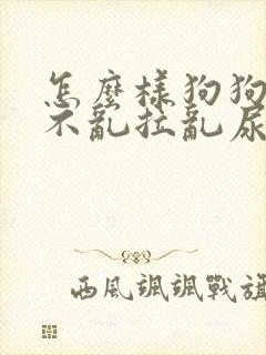 怎么样狗狗才能不乱拉乱尿