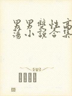 男男双性高h浪荡小说合集