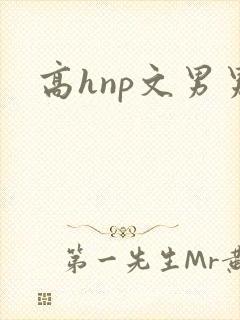 高hnp文男男