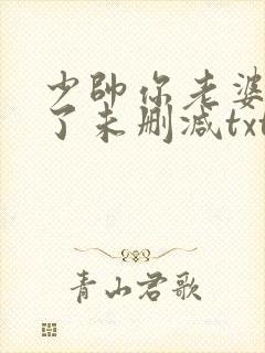 少帅你老婆又跑了未删减txt