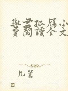 与君孤雁小说免费阅读全文最新章节