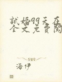试婚99天在线全文免费阅读