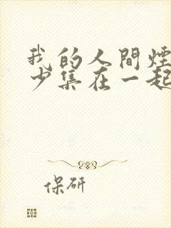 我的人间烟火多少集在一起