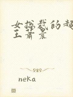 女总裁的超级兵王萧晨