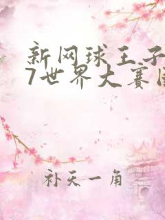 新网球王子u17世界大赛国语