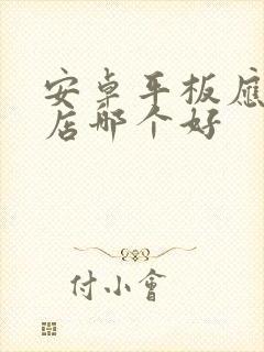 安卓平板应用商店哪个好