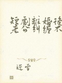 短剧离婚后前夫老公纠缠不休