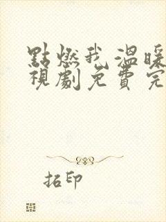 点燃我温暖你电视剧免费完整版22集