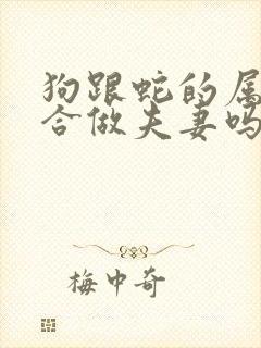 狗跟蛇的属相适合做夫妻吗