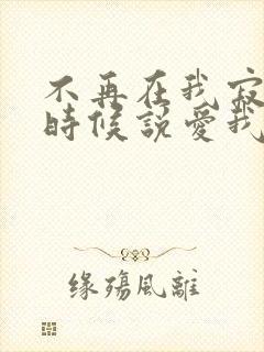 不再在我寂寞的时候说爱我歌词