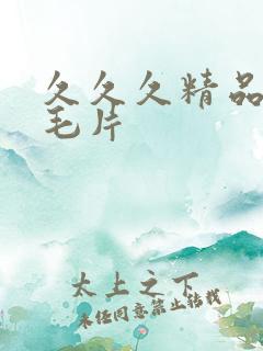 久久久精品国产毛片