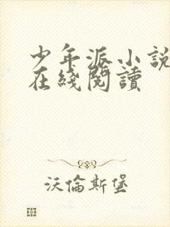 少年派小说原著在线阅读