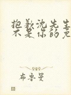 抱歉沈先生孩子不是你的免费完结短剧