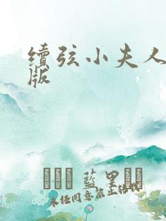 续弦小夫人完结版