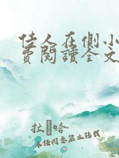 佳人在侧小说免费阅读全文无弹窗