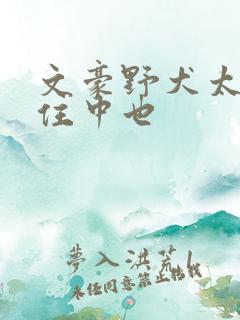 文豪野犬太宰抱住中也