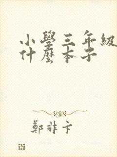 小学三年级都用什么本子