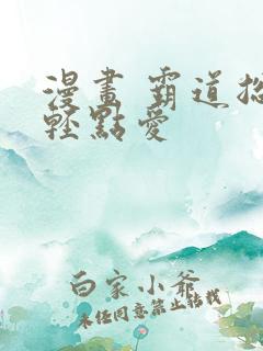 漫画 霸道总裁轻点爱