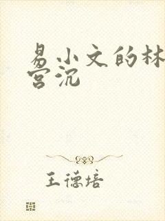易小文的林知意宫沉