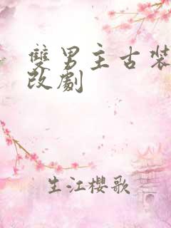 双男主古装剧耽改剧