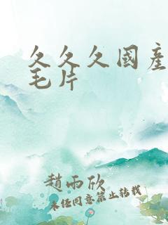 久久久国产精品毛片