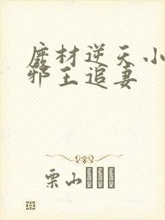 废材逆天小姐之邪王追妻