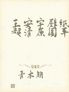 王安宇壁纸4k超清原图平板