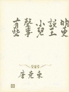 有声小说明朝那些事儿王更新