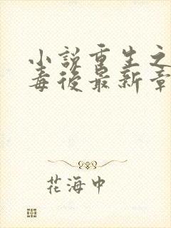 小说重生之将门毒后最新章节列表列表