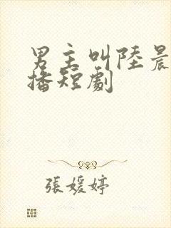 男主叫陆晨的热播短剧